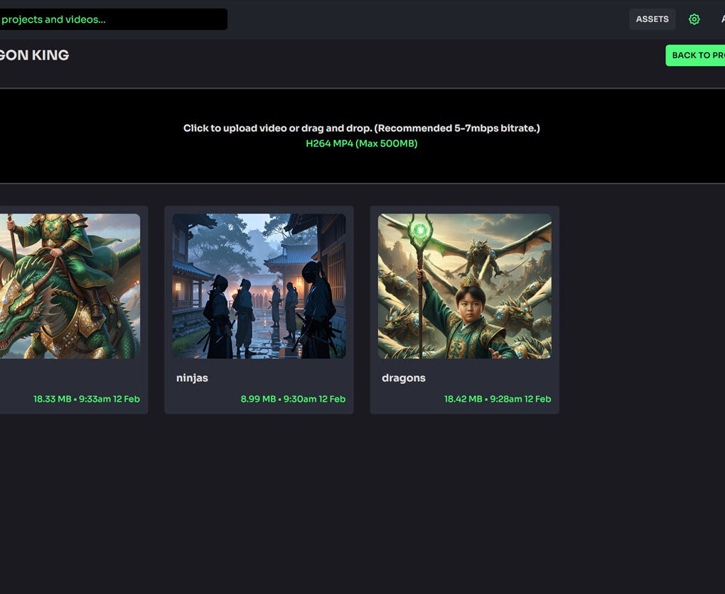 Dragon-themed video project interface with upload options