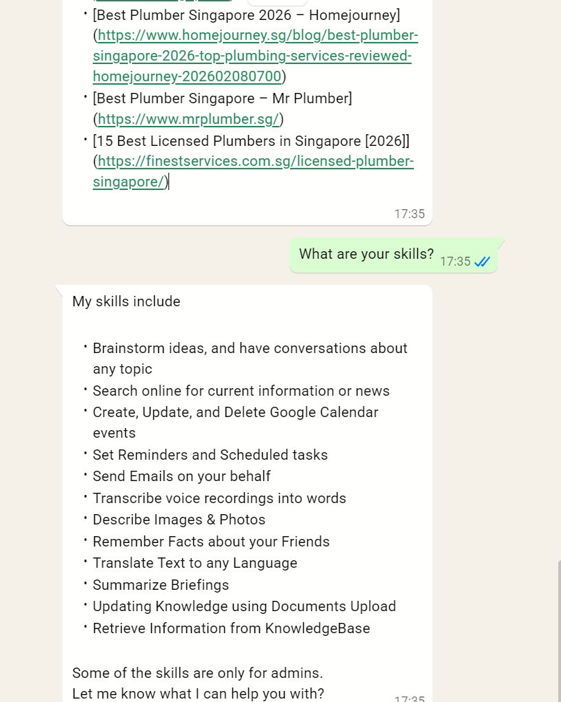Chat interface showing AI agent skills and user query